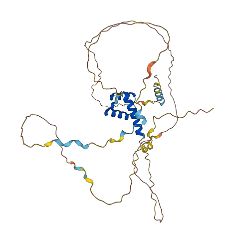 HOXB2 3D structure