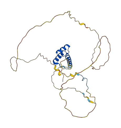 HOXB1 3D structure