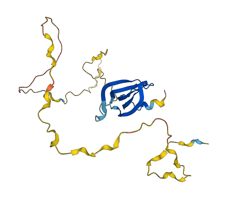 SNRPB 3D structure