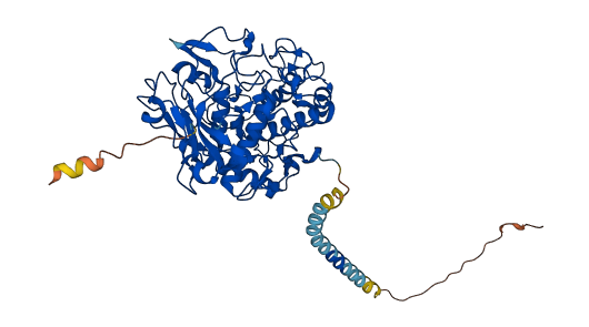 TYR 3D structure