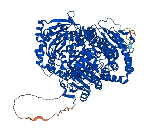 IDE 3D structure