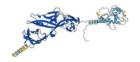 IL1R1 3D structure