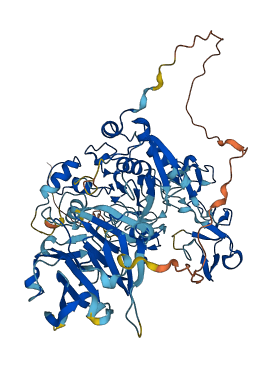 MMP9 3D structure