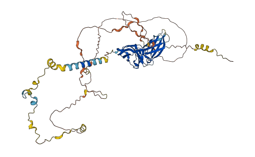 IL2RB 3D structure
