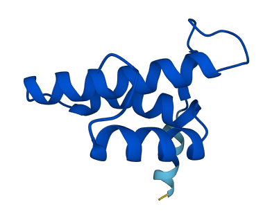 COX6B1 3D structure