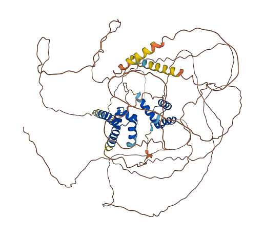 POU2F1 3D structure