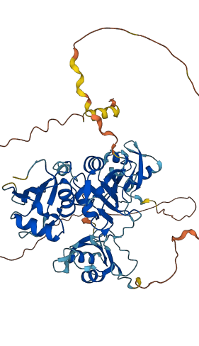 HNRNPL 3D structure