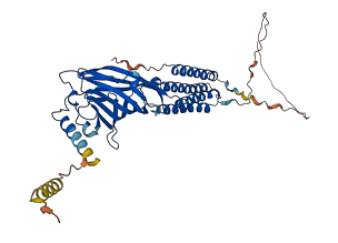 GABRA1 3D structure
