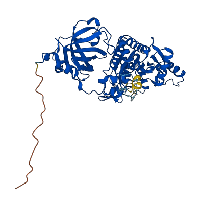 DARS1 3D structure