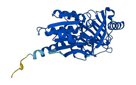 DAO 3D structure