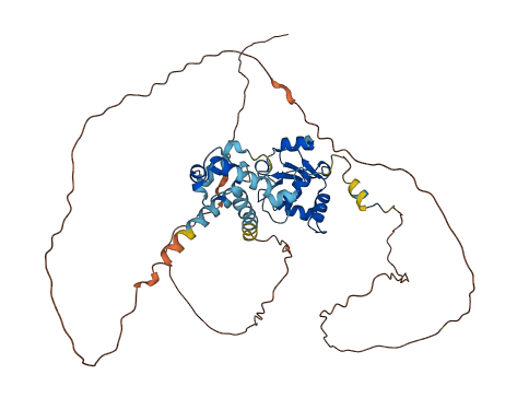 ETS2 3D structure