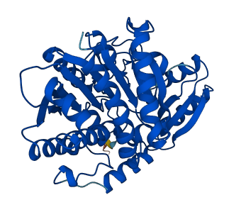 CPA1 3D structure