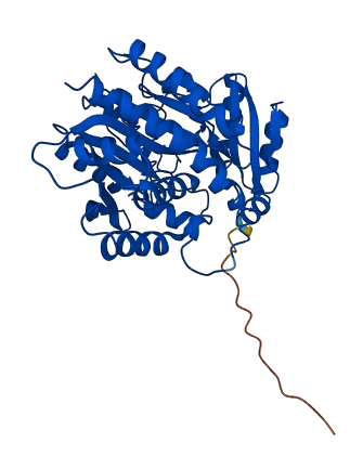 CPB1 3D structure