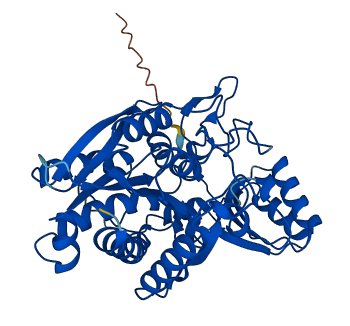 CPA3 3D structure