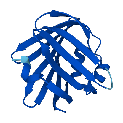 FABP4 3D structure