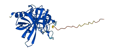 Mcpt2 3D structure