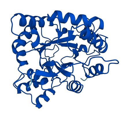AKR1B1 3D structure