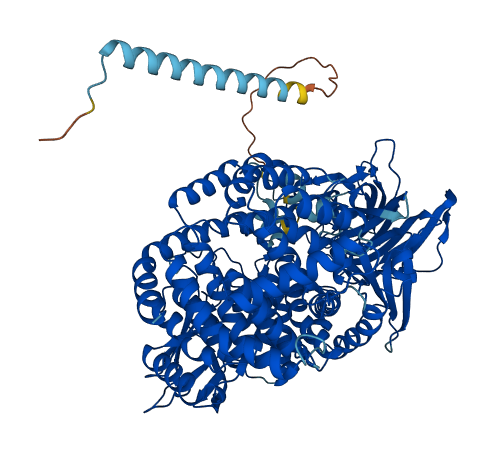 ANPEP 3D structure