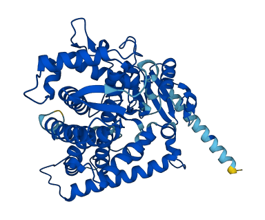 Cyp2a2 3D structure