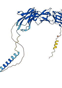 PVR 3D structure