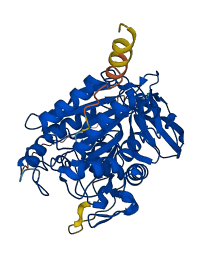 CPN1 3D structure