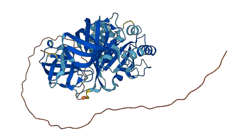 GSPT1 3D structure