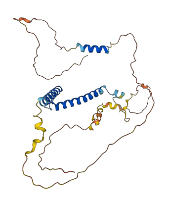 MYOD1 3D structure