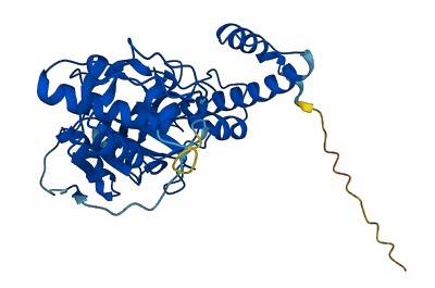 Testin 3D structure