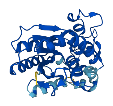 PGAM2 3D structure