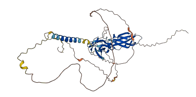 IFNGR1 3D structure