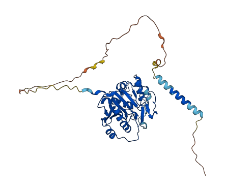 B4GALT1 3D structure