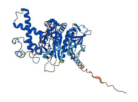 ATP6V1B1 3D structure
