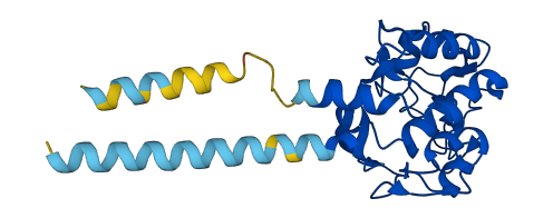 FOLR1 3D structure