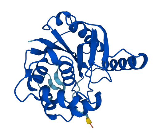 UCHL3 3D structure