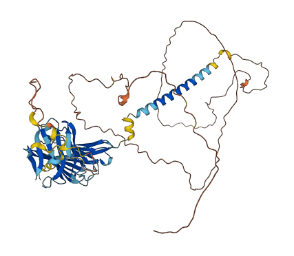 CD19 3D structure