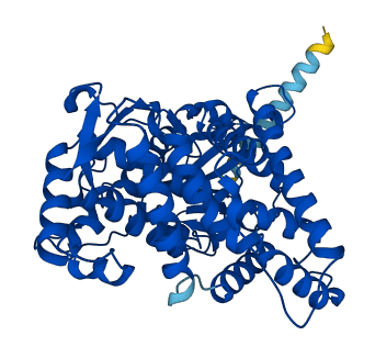 Cyp2a4 3D structure