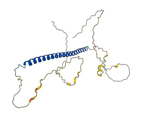 FOSL1 3D structure