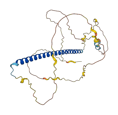 FOSL2 3D structure
