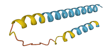 GYPE 3D structure