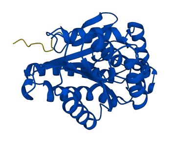 HPGD 3D structure