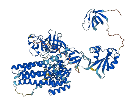 VAV1 3D structure