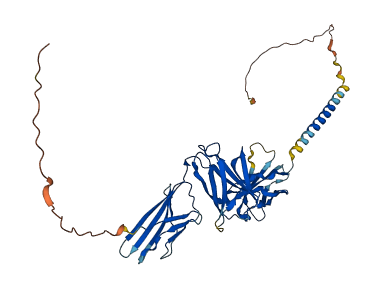 CSF2RA 3D structure