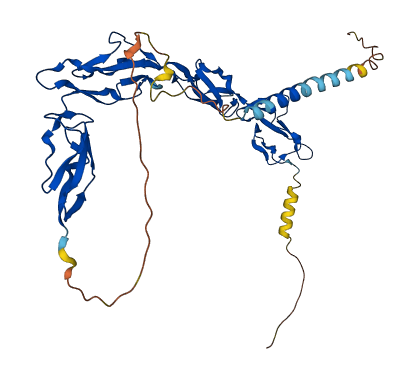 CD46 3D structure
