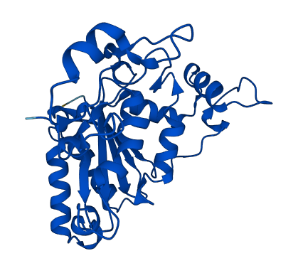 NQO1 3D structure