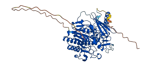 GNS 3D structure