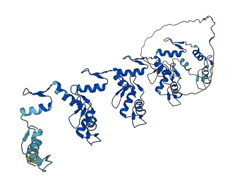 Znf271 3D structure