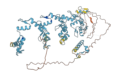 ZNF44 3D structure