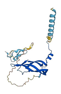 VEGFA 3D structure
