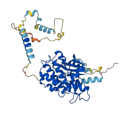 PHKG2 3D structure