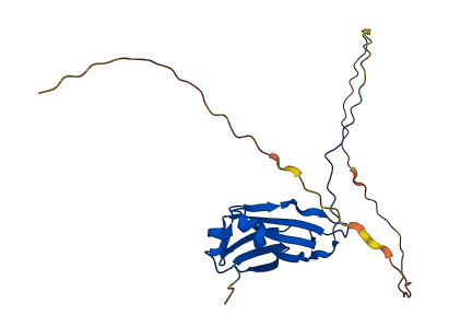 IGLL1 3D structure